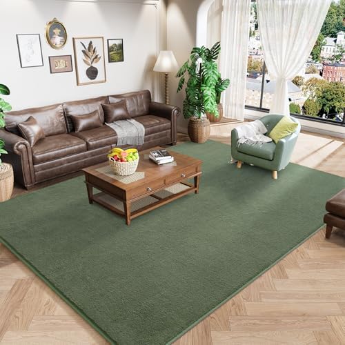 Amearea Sage Green Area Rugs for Bedroom Living Room, 5x8 Memory Foam Rug by AmeareaDirect