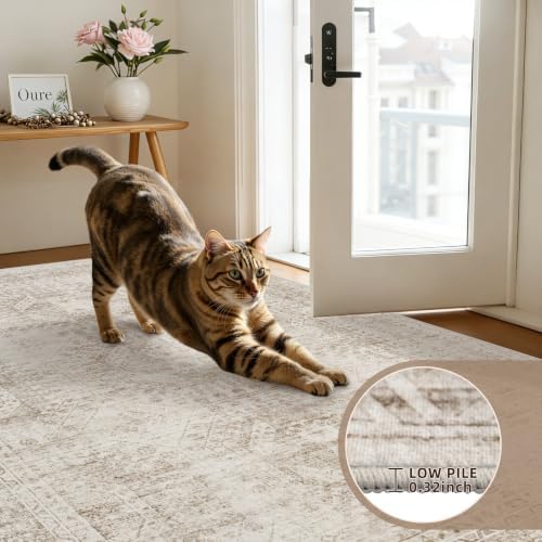 3x10 Hallway Washable Runner Rug: Neutral Kitchen Carpet Brown - Image 5