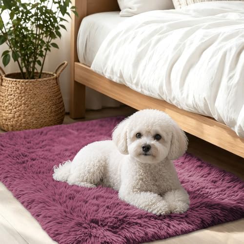 Smiry Area Rugs for Living Room Bedroom 2x3 ft, Fluffy Washable Carpet by Smiry
