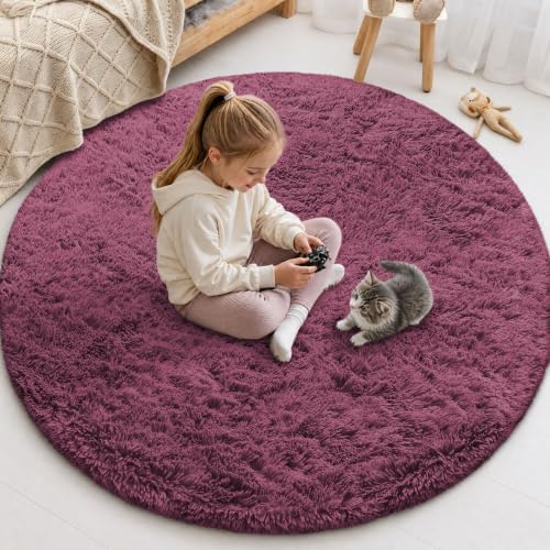 Smiry Round Area Rugs for Living Room Bedroom 5x5 ft, Fluffy Carpet by Smiry