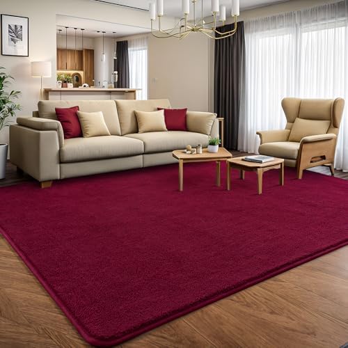 AROGAN 4x6 Area Rugs for Living Room Non Slip Dorm Bedroom Rug, Wine Red - Image 5