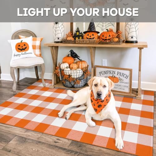 IOHOUZE Fall Buffalo Plaid Outdoor Rug 3x5, Washable, Orange White - Image 5