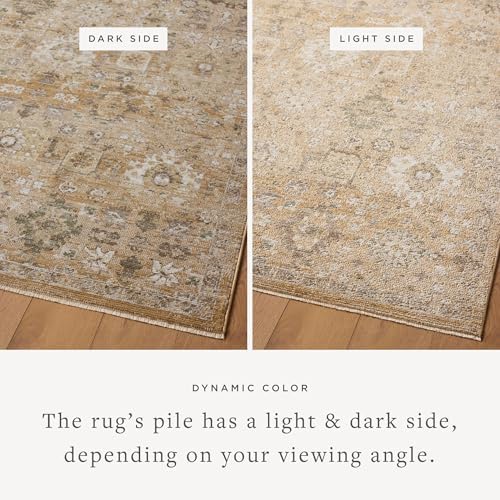 Loloi Magnolia Home Pace Sunset/Stone 18" x 18" Sample Rug - Image 4