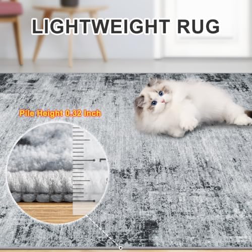 PLHXFR Area Rug Living Room: 5x7 Modern Abstract Washable Carpet Black - Image 6