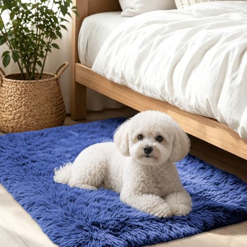 Smiry Area Rugs for Living Room Bedroom 2x3 ft, Fluffy Washable Carpet by Smiry