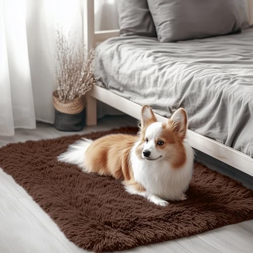 OLANLY 2x2 Machine Washable Small Rug, Soft Fluffy Shaggy Throw Rug for Bedroom, Entryway, Indoor Floor Carpet for Kids, Nursery, Home Decor, Coffee by OLANLY