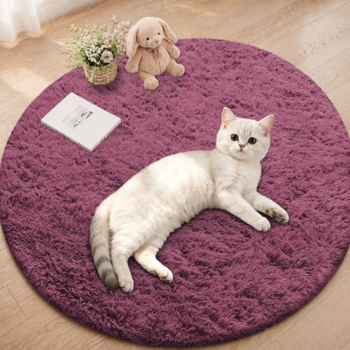 Smiry Round Area Rugs for Living Room Bedroom 2x2 ft, Fluffy Carpet by Smiry
