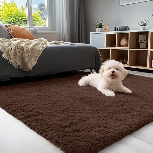 OLANLY 3x4 Machine Washable Accent Rug, Soft Fluffy Shaggy Area Rug for Bedroom, Living Room, Indoor Floor Carpet for Kids, Nursery, Home Decor, Coffee by OLANLY