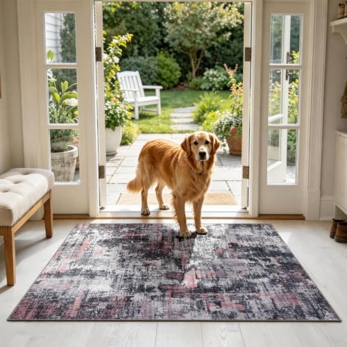 Sasttie 3x5 Entryway Area Rug, Modern Abstract Small Carpet, Black & Pink by SASTTIE