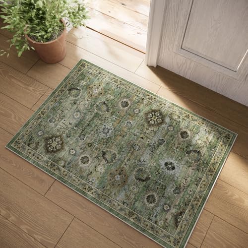 Machine Washable Small Rugs for Kitchen: Door Mat Indoor Entrance 2x3 Throw Rug Stain Resistant Non-Slip Low Pile Soft Carpets for Entryway Front Door Indoor Entrance Entry Bedroom by palohom