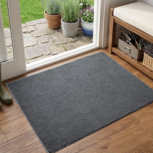 2x3 Dark Grey Solid Area Rug Washable Non-Slip Soft for Entryway Front Door by Unknown
