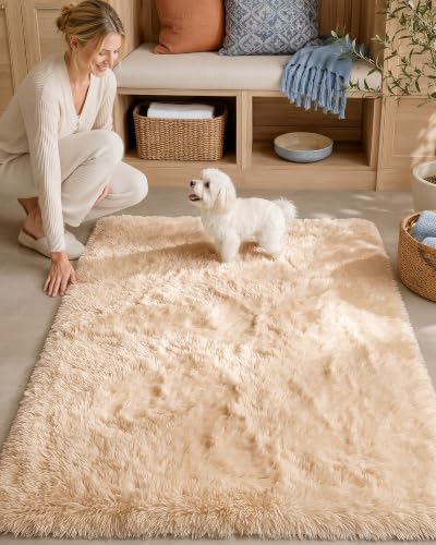 OLANLY 3x4 Machine Washable Accent Rug, Soft Fluffy Shaggy Area Rug for Bedroom, Living Room, Indoor Floor Carpet for Kids, Nursery, Home Decor, Beige by OLANLY