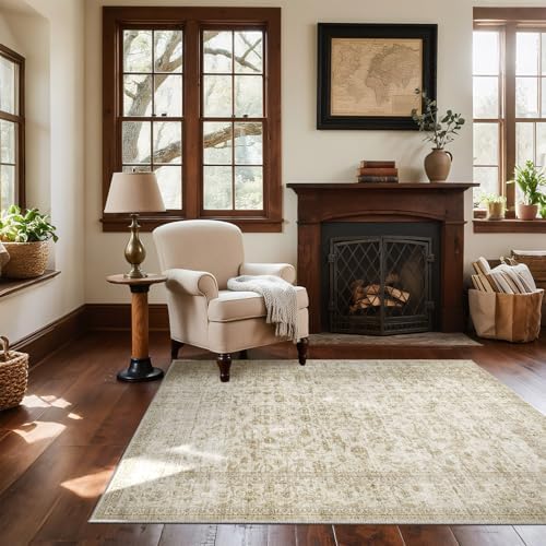 Machine Washable Throw Rugs for Entryway: Door Mat Indoor Entrance 4x6 Rug Small Area Rug Non Slip Low Pile Soft Kitchen Rugs for Front Door Indoor Entrance Entry Kids Room by palohom