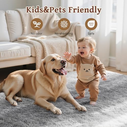 Area Rugs for Living Room 8x10 Feet, Soft Fluffy Shagg Plush Bedroom Rug Non-Slip,Large Carpet for Nursery Kids Dorm Home Decor Gradient Grey - Image 5