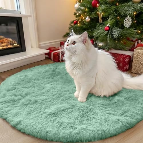 OLANLY Mint Green Round Rugs for Bedroom - Machine Washable, 3 ft Circle Area Rugs for Living Room, Soft and Fluffy Shaggy Carpet for Teen Girls and Boys, Nursery Rooms, Dorms, Home Decor Aesthetic by OLANLY