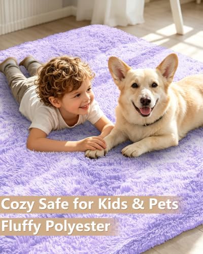 Smiry Area Rugs for Living Room Bedroom 2x4 ft, Fluffy Washable Carpet - Image 3