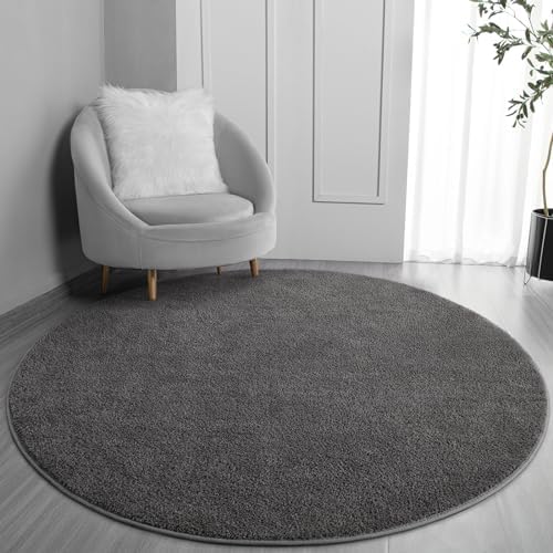 FlyDOIT Round Area Rugs for Bedroom Living Room, 5x5 Dark Grey Super Soft Comfy Thickened Memory-Foam Indoor Circle Carpet, Modern Aesthetic Minimalist Carpet for Boys Girls Adults Nursery Home Décor by FlyDOIT