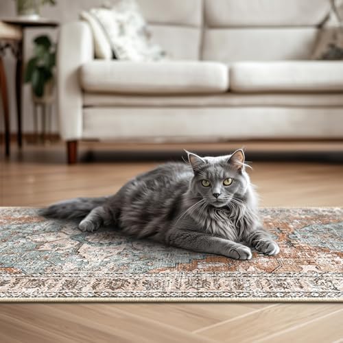 BESTSWEETIE Washable Boho 2x10 Runner Rug, No Pile for Living Room, Brick - Image 5