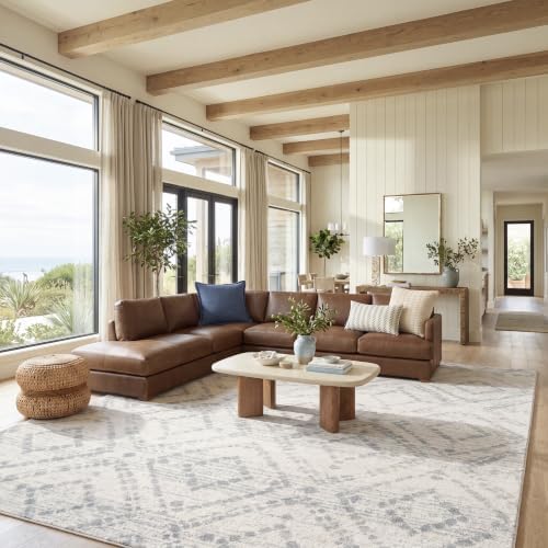 SAFAVIEH Adirondack Area Rug 11'x15', Boho Ivory & Light Blue ADR131T by Unknown