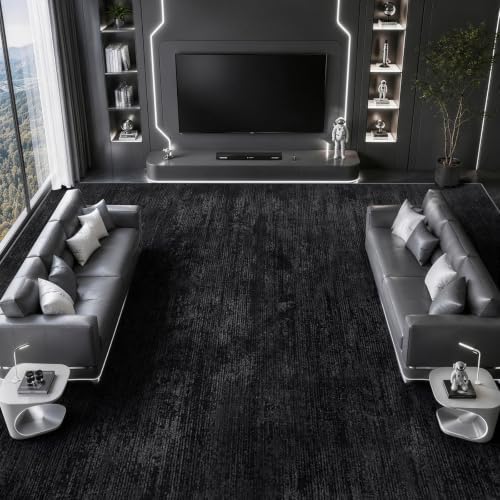 LIANLAM Silver Infused Self-Cleaning Area Rug for Living Room (8x10,Black) by LIANLAM