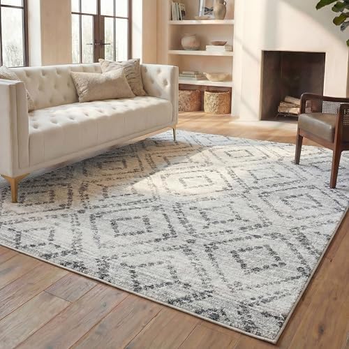 SAFAVIEH Adirondack Area Rug 8'x10', Boho Light Grey & Grey ADR131C by Unknown