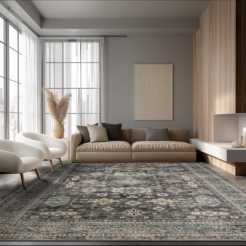 Ruaruarug Washable Area Rug 8×10 for Living Room, Ultra Soft, Silver by Ruaruarug