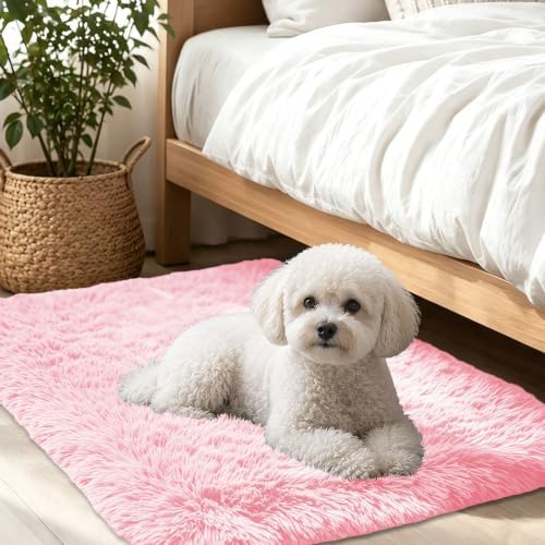 Smiry Area Rugs for Living Room Bedroom 2x3 ft, Fluffy Washable Carpet by Smiry
