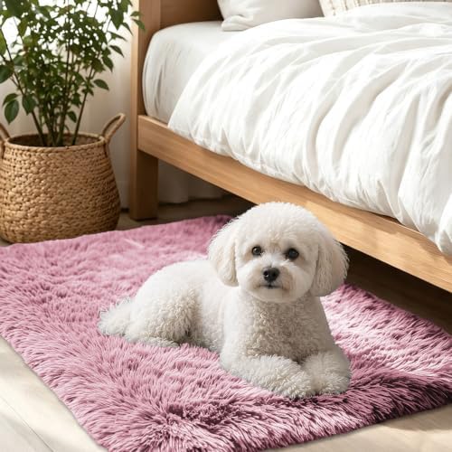 Smiry Area Rugs for Living Room Bedroom 2x3 ft, Fluffy Washable Carpet by Smiry