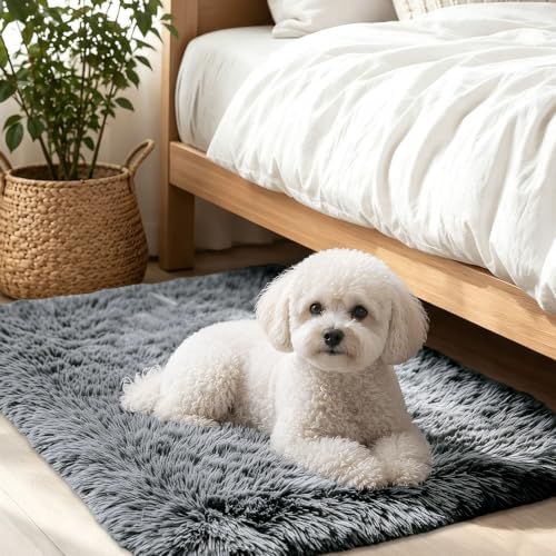 Smiry Area Rugs for Living Room Bedroom 2x4 ft, Fluffy Washable Carpet by Smiry