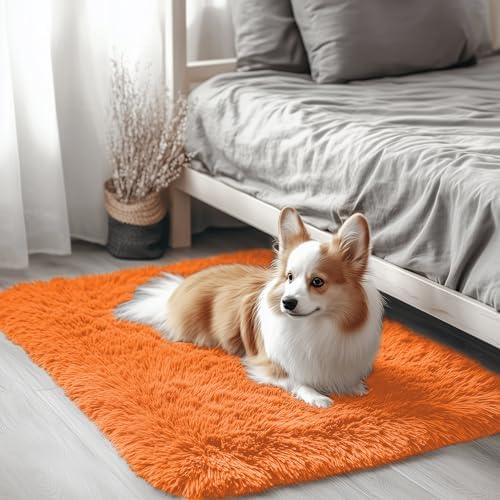 OLANLY 2x3 Machine Washable Small Bedside Rug, Soft Fluffy Shaggy Entryway Throw Rugs for Bedroom, Living Room, Indoor Floor Carpet for Kids Girls and Boys, Nursery Rooms, Home Decor Aesthetic, Orange by OLANLY