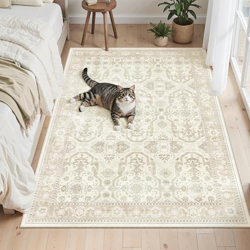 Soalmost 3x5 Rugs, Small Washable Kitchen Entryway Area Rug Beige/Brown - Image 4