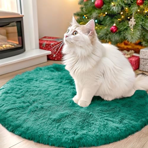 OLANLY Teal Green Round Rugs for Bedroom - Machine Washable, 2 ft Circle Area Rugs for Living Room, Soft and Fluffy Shaggy Carpet for Teen Girl and Boys, Nursery Rooms, Dorms, Home Decor Aesthetic by OLANLY