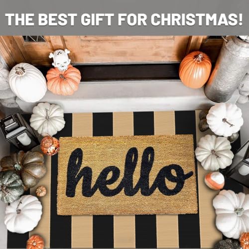IOHOUZE 27.5x43 Striped Outdoor Door Mat, Washable Porch Rug, Black/Tan - Image 2