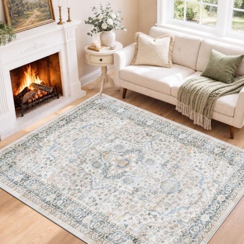 SameBed 5x7 Area Rug Living Room, Vintage Washable Carpet Light Blue by SameBed