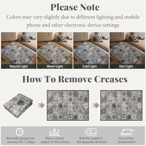 Washable Small Area Rugs for Entryway: 2x3 Door Mat Indoor Entrance - Image 4