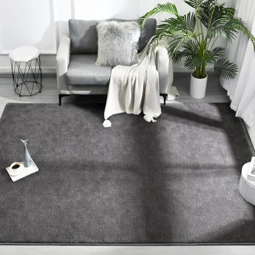 FlyDOIT Area Rugs for Bedroom Living Room, 4x6 Dark Grey Super Soft Comfy Thickened Memory-Foam Indoor Carpets, Modern Aesthetic Minimalist Carpet for Boys Girls Adults Apartment Nursery Home Décor - Image 2