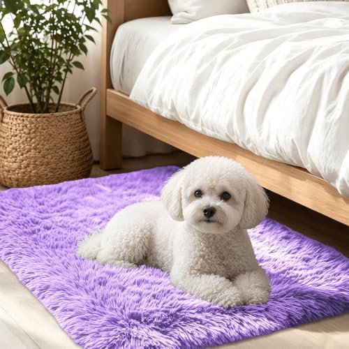 Smiry Area Rugs for Living Room Bedroom 2x3 ft, Fluffy Washable Carpet by Smiry