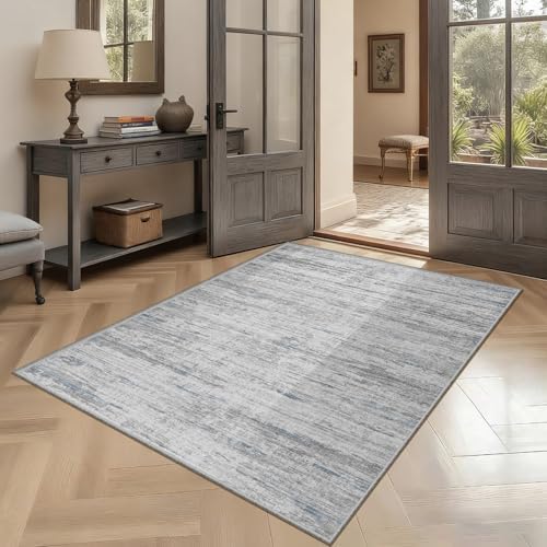 Washbale Rugs 3x5 Ultra Soft Area Rug, Non Slip Indoor Entryway Rugs, Stain Resistant Area Rugs for Living Room Dining Bedroom,Modern Abstract Home Decor Small Rug by Unknown