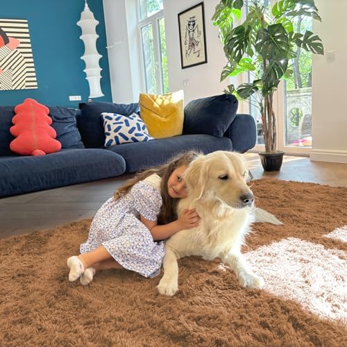 OLANLY 5x8 Machine Washable Large Area Rugs for Living Room, Bedroom, Soft Fluffy Shaggy Bedside Rug, Indoor Floor Carpet for Kids Girls and Boys, Dorms, Nursery, Home Decor Aesthetic, Khaki - Image 5