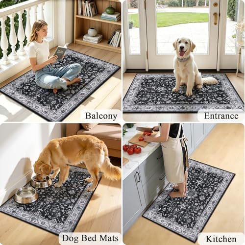 HEBE Indoor Door Mat 2'x3', Washable Welcome Mat for Front Door Entrance - Image 6
