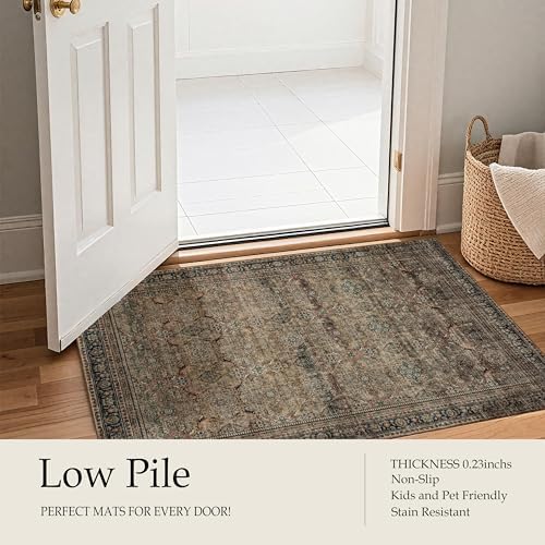Ruaruarug Washable Small Area Rug 2×3 for Entryway, Soft, Vintage Brown - Image 4
