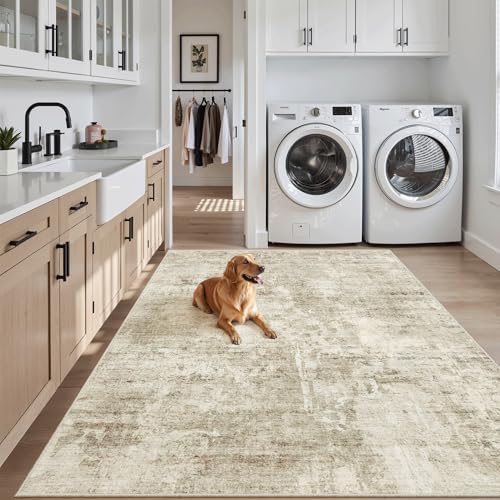 Soalmost Abstract 3x5 Rugs, Small Kitchen Entryway Area Rug Beige/Gray - Image 3