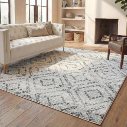 SAFAVIEH Adirondack Area Rug 8'x10', Boho Light Grey & Grey ADR131C - Image 6