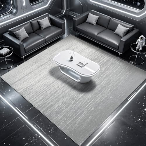 LIANLAM 6x9 Silver Infused Self-Cleaning Rug for Living Room (6x9,Silver) - Image 2