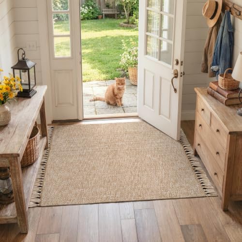 Collive 3' x 5' Woven Indoor Outdoor Porch Rug, Farmhouse Entryway Rugs - Image 3