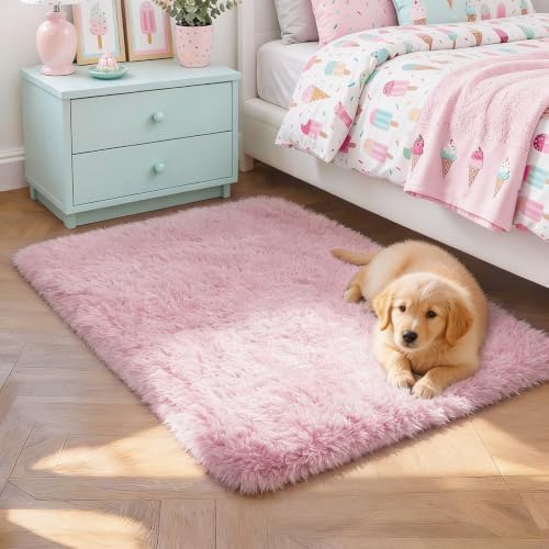 Pink Accent Rugs for Bedroom Girls 2x3 Ft, Kawaii Throw Rugs Barbie Decor by PAGISOFE