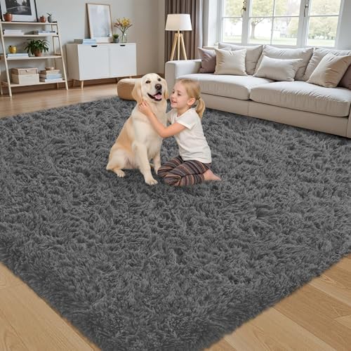 8x10 Area Rug for Living Room,Dark Gray Fluffy Shag Non-Slip Bedroom Rugs by Unknown