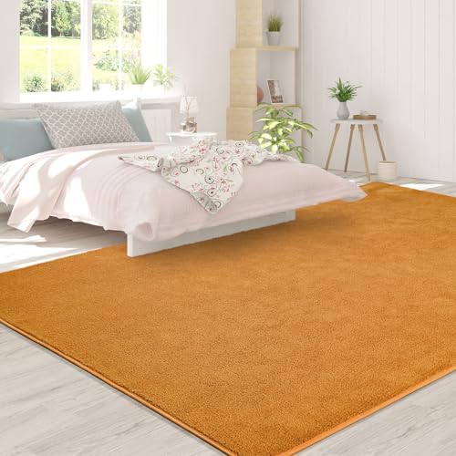 FlyDOIT Area Rugs for Bedroom Living Room, 5x8 Orange Super Soft Comfy Thickened Memory-Foam Indoor Carpets, Modern Aesthetic Minimalist Carpet for Boys Girls Adults Apartment Nursery Home Décor - Image 4