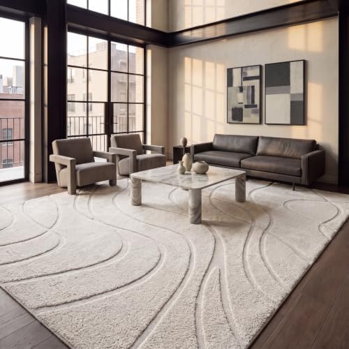 SAFAVIEH Florida Shag Rug 9'x12', Soft Plush Modern Cream SG471-1111 by Unknown