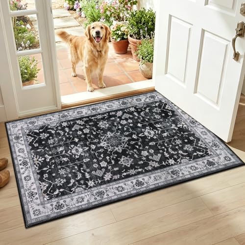 HEBE Indoor Door Mat 2'x3', Washable Welcome Mat for Front Door Entrance by HEBE